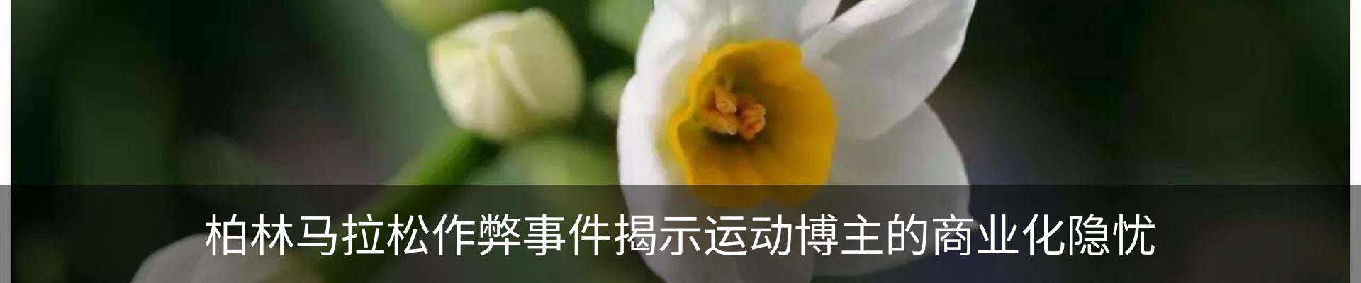 新闻动态